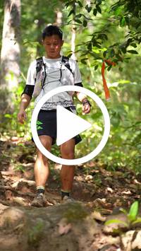 BIB:  <button type="button" onclick="openModal(27610634)" class="btn btn-primary btn-sm float-right" data-toggle="modal" data-target=".modal-high-quality">
                <i class="fa fa-download"></i> Download
                </button>